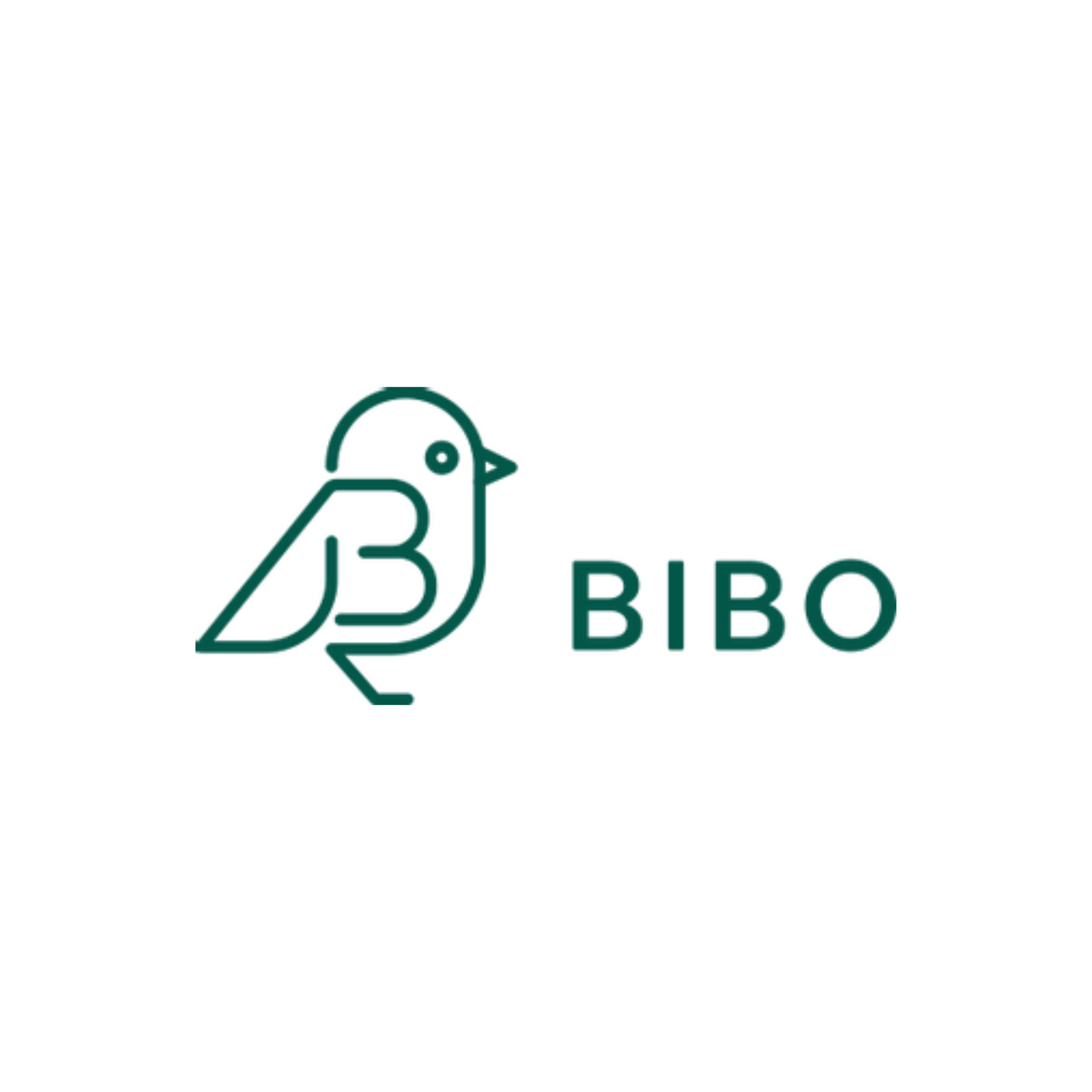 BIBO Build
